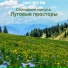 Мастер По