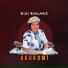 Bisi Bakare