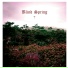 Blind Spring