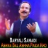 Baryali Samadi