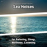 Sea Sound Effects, Ocean Sounds, Nature Sounds