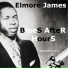 Elmore James & His Broom Dusters