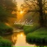 Tale of Solar