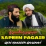 Qari Mansoor Ghaznavi