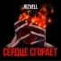 RIZVELL