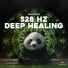 Panda Hertz, Panda Sleep, Panda Music