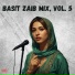 Basit Zaib
