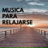 Meditacion ambiental