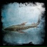 Slow Wave Sleep
