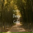 Cecil K