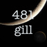 gill duvdevan