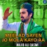 Wajid Ali Qasmi