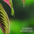Nature Sounds, Rain Sounds