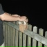stillalone