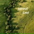 Levi