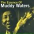 Muddy Waters