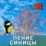 AllVideo