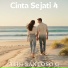 Aldi Santoso G