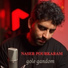 Naser Pourkaram