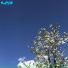 arkanoiidd