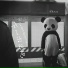 栖栖同学