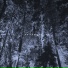 Nxrthwave