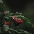 Spa, Easy Sleep Music, Classical Lullabies