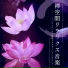 禅ギター
