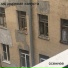 мц дырявая капуста