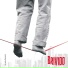 Bonvicini
