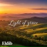 Eldib