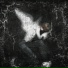 slxyerr, sys angel
