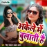 Sintu Samrat, Ankaj Anand