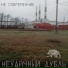 Не Современник