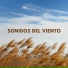 Sonido Del Bosque y Naturaleza