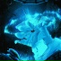 Ayvo The Light