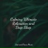 Study Power, Calming Sounds, Zen Meditate