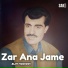 Alim Masroor