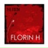 Florin H