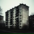 nightagain