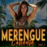 LOS DUROS DEL MERENGUE