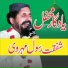 Qari Shafqat Rasool Mehrvi