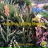 Desert Garden Collective