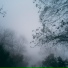 Zona Música Relaxante, Lluvia PQ, Sueños Triplete