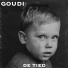 Goudi