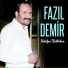 Fazıl Demir