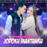 Shinta Arsinta, Arya Galih feat. Ageng Music