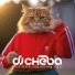 dj cheba