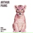 ARTHUR PAINS