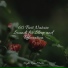 Nature Sound Collection, Meditação Yoga, Zarobi